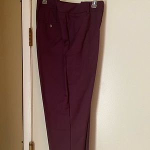 Brand new Eloqui dress pant